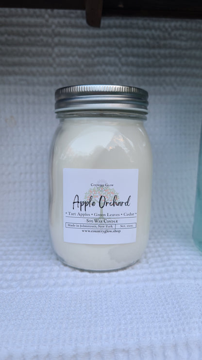 Apple Orchard